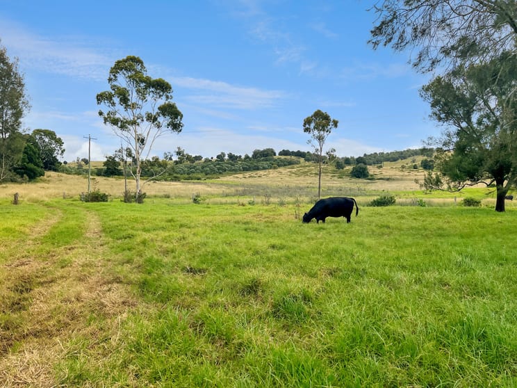 Click to view all images Lot 424 Gardiners Road Yarraman QLD 4614 - Image 3