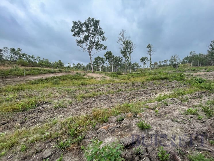 Duckpond Road Moolboolaman QLD 4671 - Image 3