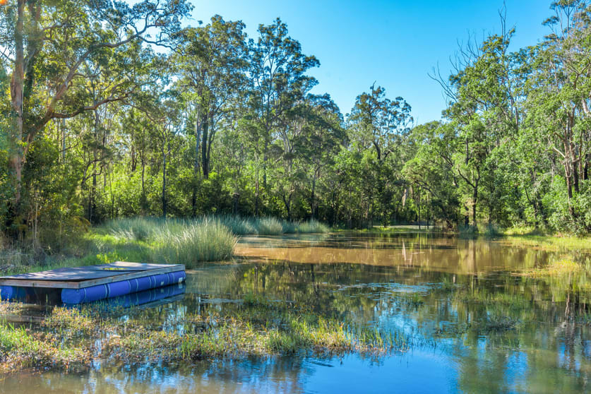 Click to view all images 2305 Bungawalbin Whiporie Road Gibberagee NSW 2469 - Image 3