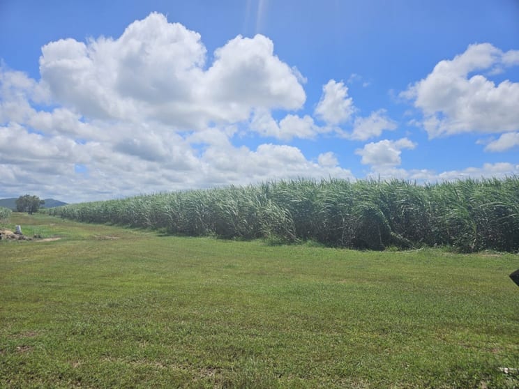 Click to view all images 1/ Nebbias Road Yuruga QLD 4850 - Image 3