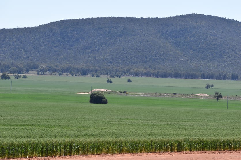 Click to view all images 2190 Yarrabandai Road Trundle NSW 2875 - Image 1