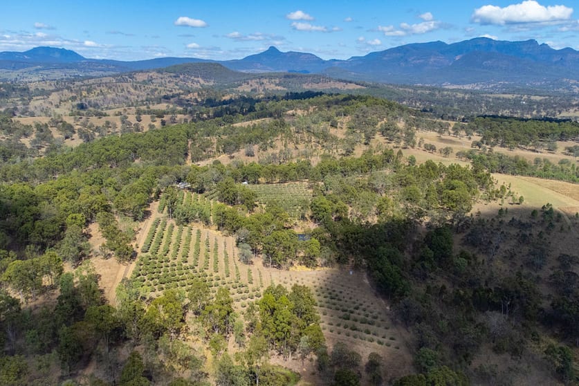 318 Sawatzki Road Croftby QLD 4310 - Image 1