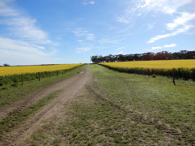 Click to view all images 281 Kielow Road Peake SA 5301 - Image 2