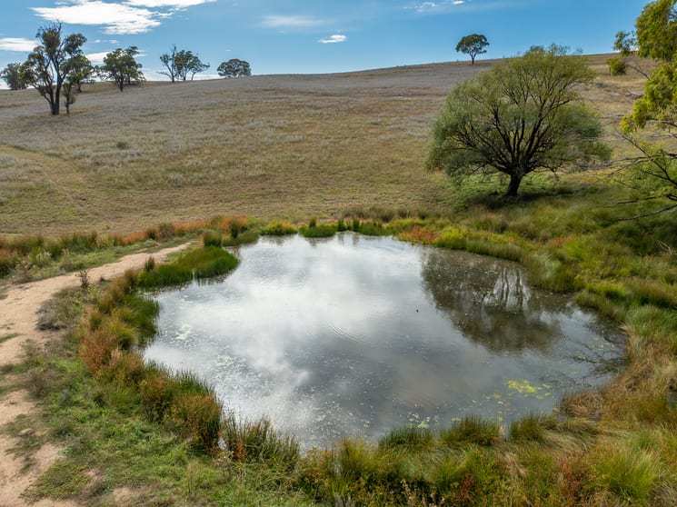 334 Mount Olive Road Mount Olive NSW 2787 - Image 3