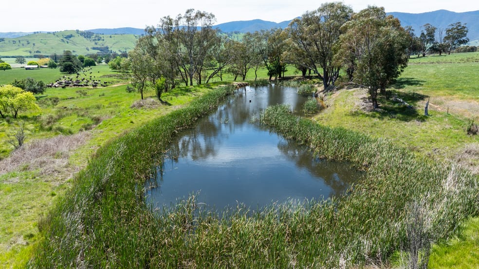 Click to view all images 4320 Kiewa Valley Highway Dederang VIC 3691 - Image 2