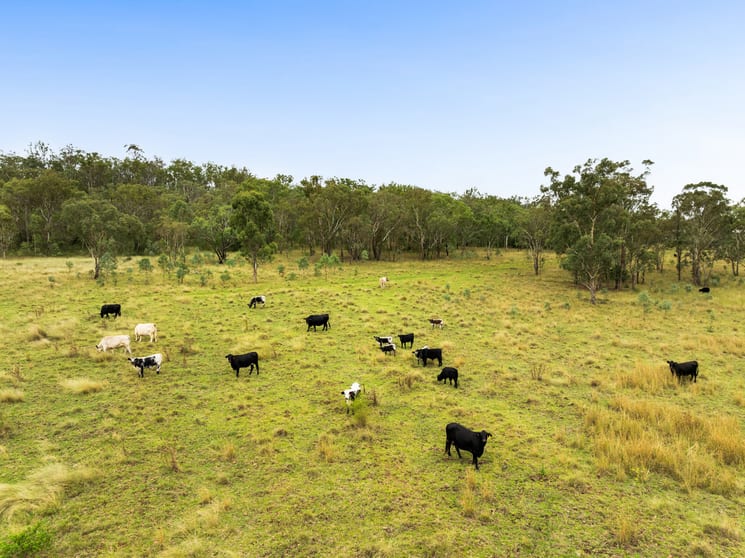 722 Mount Kent Boundary Road Nobby QLD 4360 - Image 2
