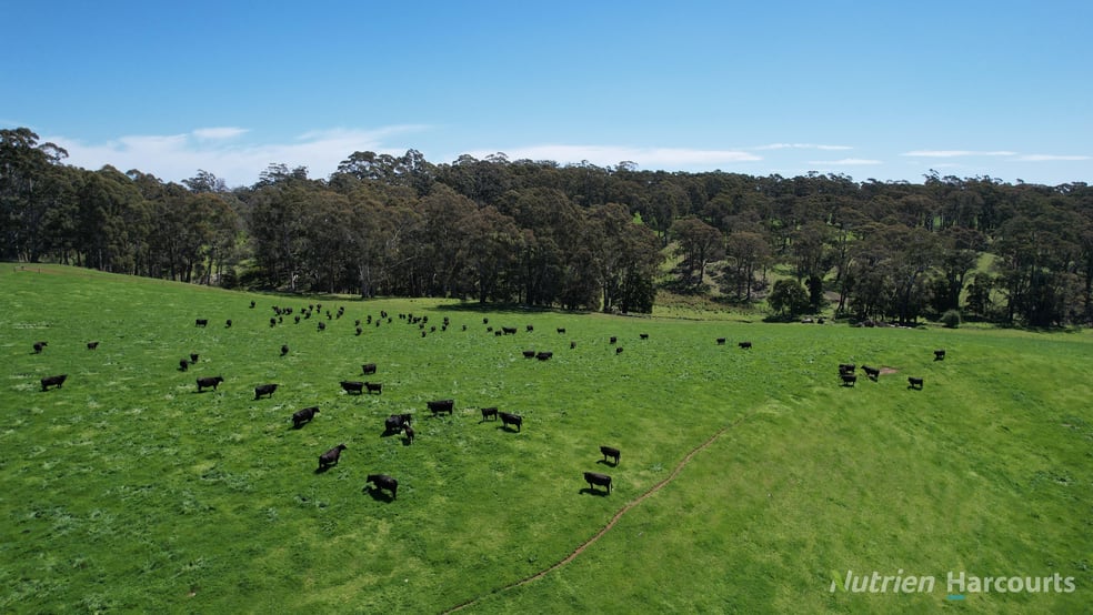 Click to view all images 90 Porcupine Ridge Road Daylesford VIC 3460 - Image 1
