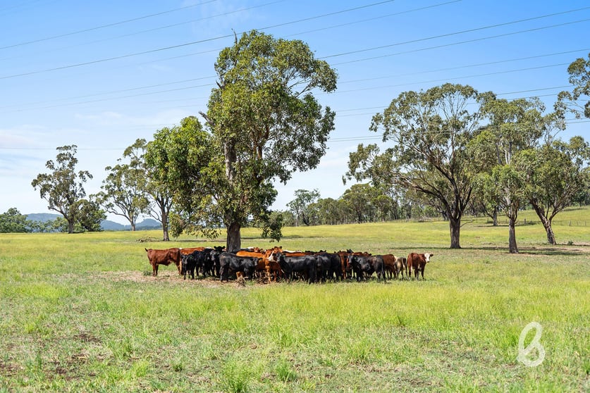 Click to view all images 8667 New England Highway Muswellbrook NSW 2333 - Image 3