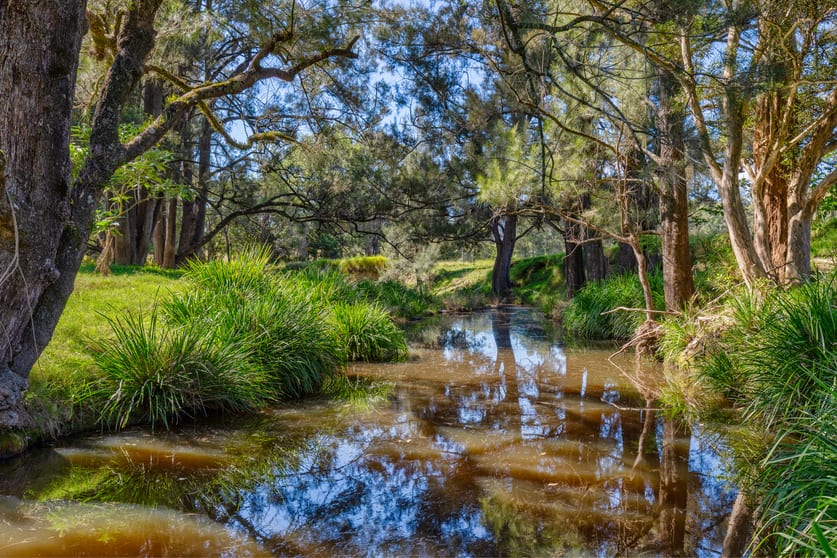 Click to view all images Lot 612 Monkerai Road Dungog NSW 2420 - Image 3