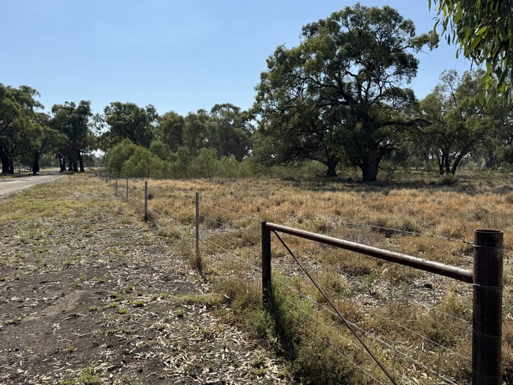 Click to view all images 191 Dahwilly Road Deniliquin NSW 2710 - Image 2