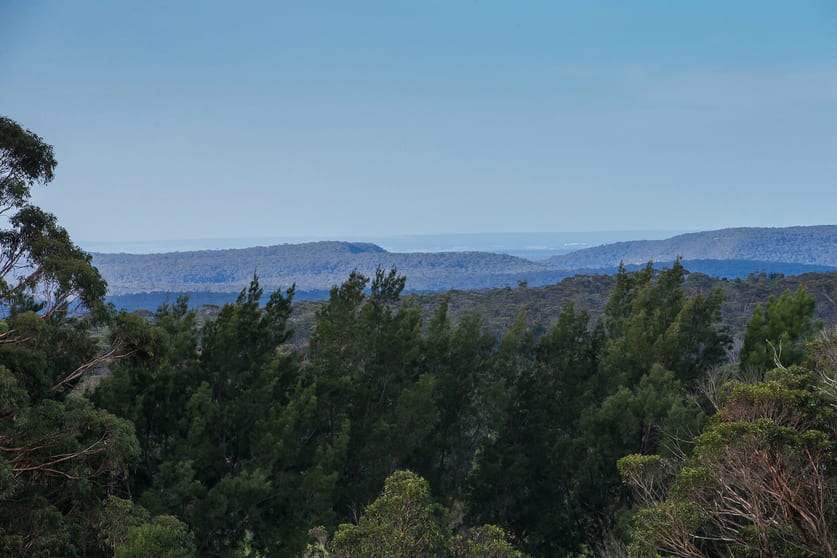 1107 Old Hume Highway Alpine NSW 2575 - Image 3