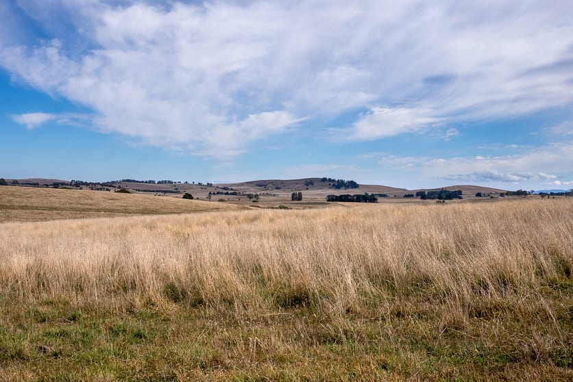 353 Moorilda Road Moorilda NSW 2795 - Image 1