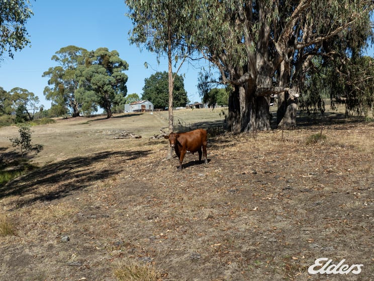Click to view all images 124 Watkins Road, Creek Junction via Strathbogie VIC 3666 - Image 3