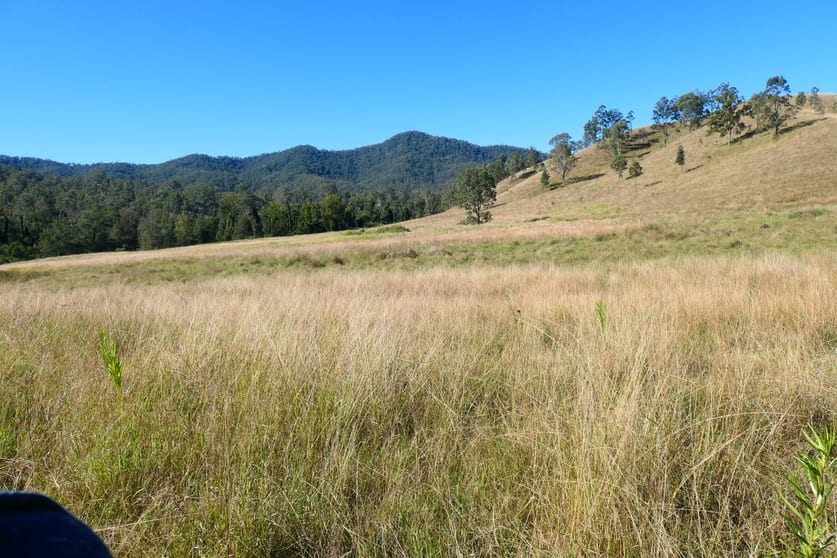 23/ Rocky River Road Rocky River NSW 2372 - Image 2