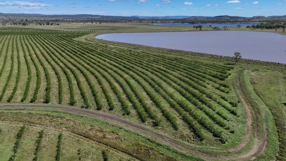 Click to view all images "Yetton" Burnett Highway Gayndah QLD 4625 - Image 1