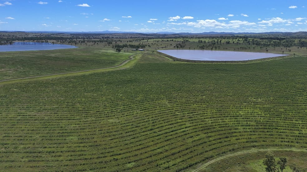 Click to view all images "Yetton" Burnett Highway Gayndah QLD 4625 - Image 3