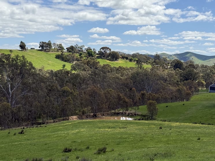 Click to view all images 85 Halls Flat Road Alexandra VIC 3714 - Image 1