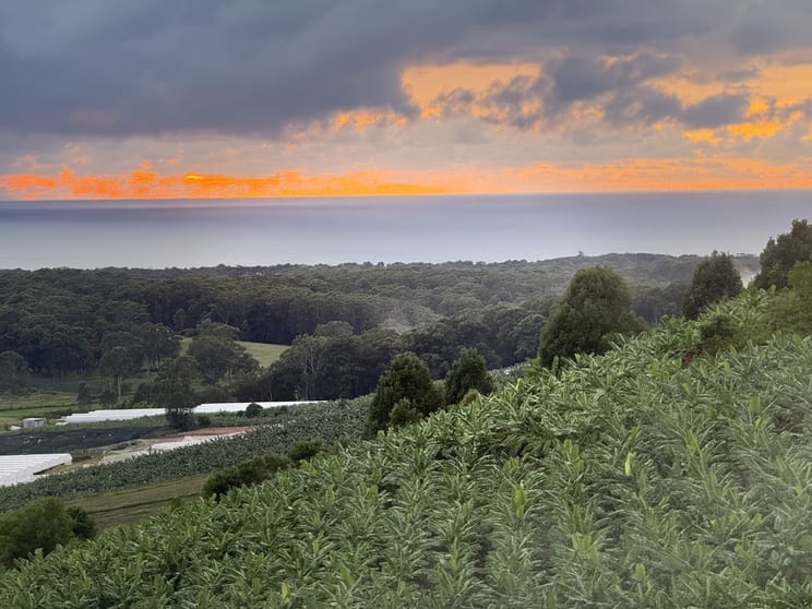 Click to view all images 50-50A Rickards Road Sandy Beach NSW 2456 - Image 2