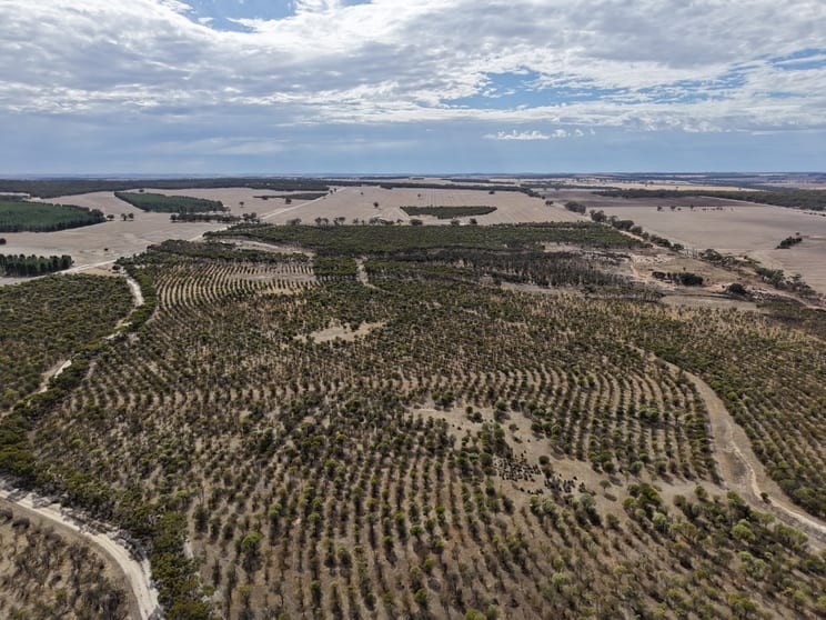 Click to view all images Lot 706 Quairading - York Road Kauring WA 6302 - Image 3