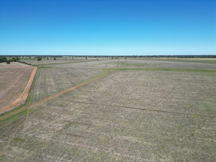 Click to view all images 678 Arthursleigh Gilgandra NSW 2827 - Image 1
