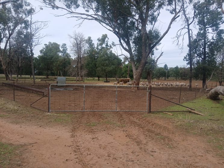 Click to view all images Tooraweenah NSW 2817 - Image 3