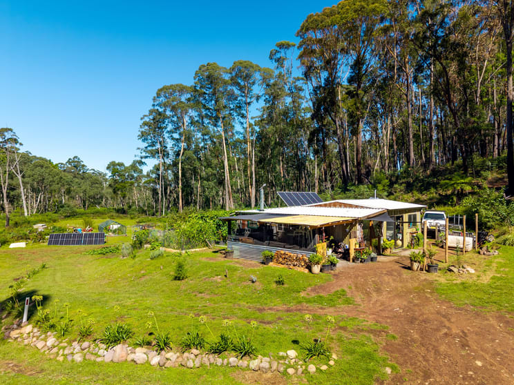 137 Yankees Gap Firetrail Bemboka NSW 2550 - Image 2