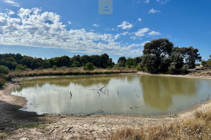 Click to view all images 1835 Forest Way Yarrie Lake NSW 2388 - Image 2