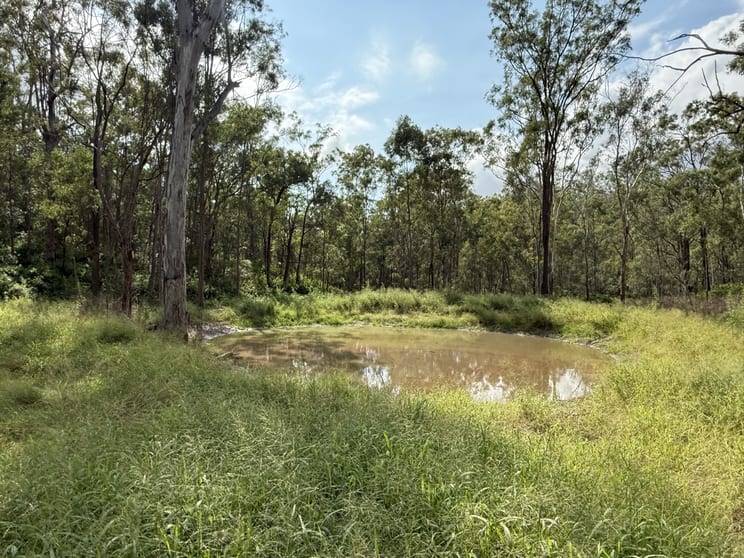 Click to view all images Lot 142 Pierces Creek Road Emu Creek QLD 4355 - Image 2