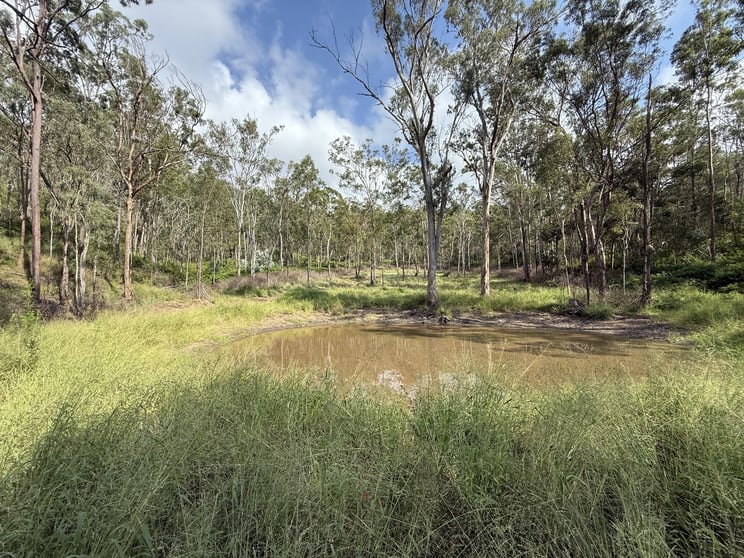 Click to view all images Lot 142 Pierces Creek Road Emu Creek QLD 4355 - Image 3