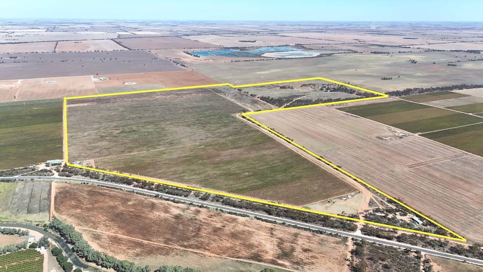 595 Woorinen Road Swan Hill VIC 3585 - Image 2