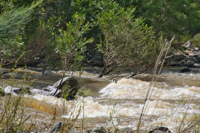 Paddys Flat Road Upper Tooloom NSW 2475 - Image 1
