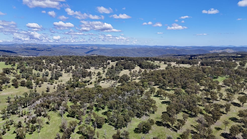 Click to view all images 3256 Niangala Rd Walcha NSW 2354 - Image 3