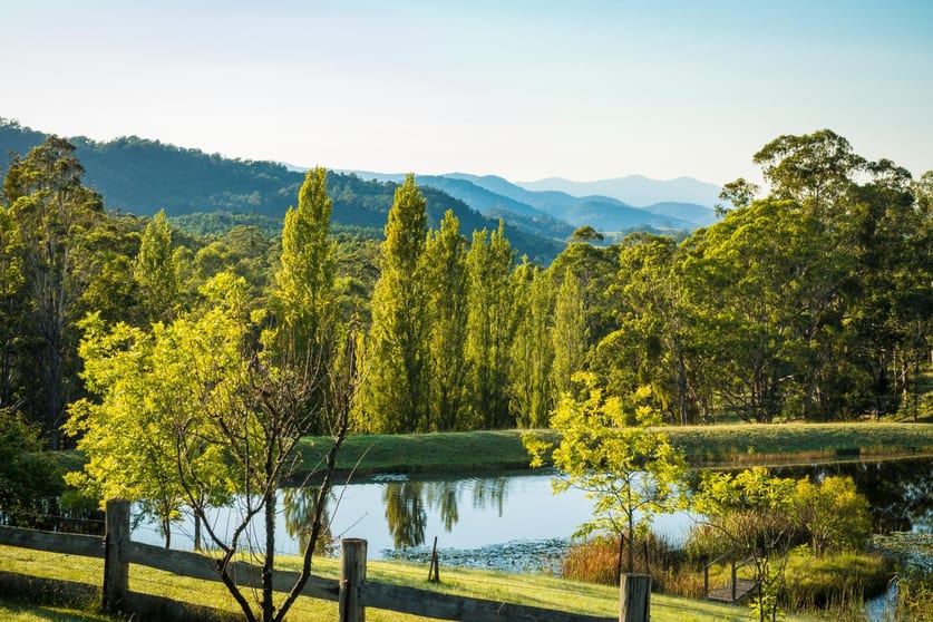 1697 Big Jack Mountain Road Rocky Hall NSW 2550 - Image 1