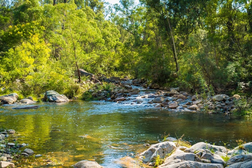 1697 Big Jack Mountain Road Rocky Hall NSW 2550 - Image 3