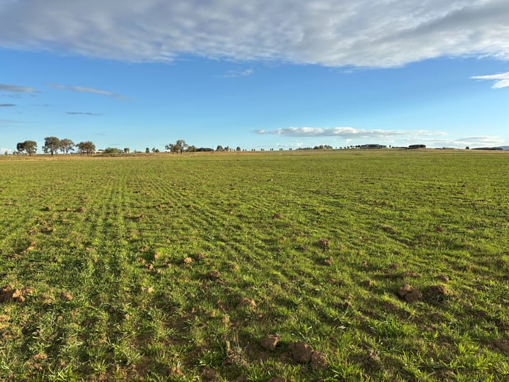 156 Warral-Bithramere Road Tamworth NSW 2340 - Image 1