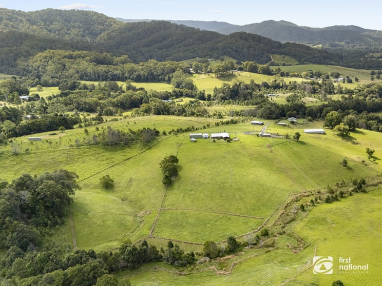 219 South Island Loop Road Upper Orara NSW 2450 - Image 1