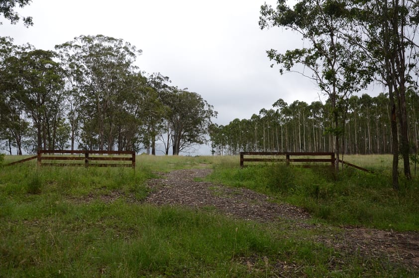 Click to view all images 7877AB Mount Lindesay Road Legume NSW 2476 - Image 2