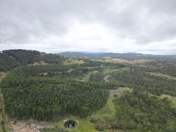 Click to view all images 7877AB Mount Lindesay Road Legume NSW 2476 - Image 3