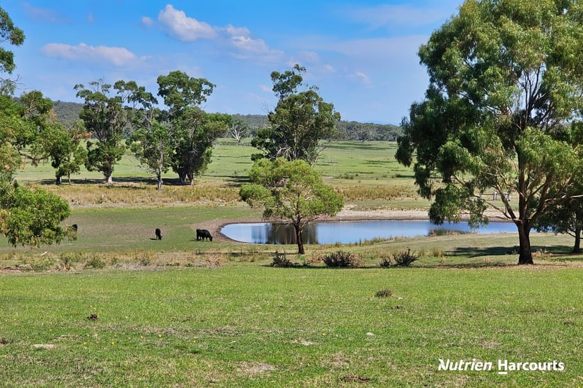 Click to view all images 178 Farrell Lane Rosedale VIC 3847 - Image 3