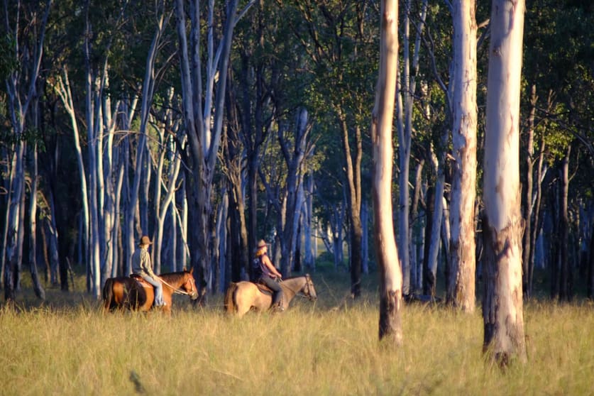 Click to view all images Lot 27 Burnett Highway Cynthia QLD 4627 - Image 2