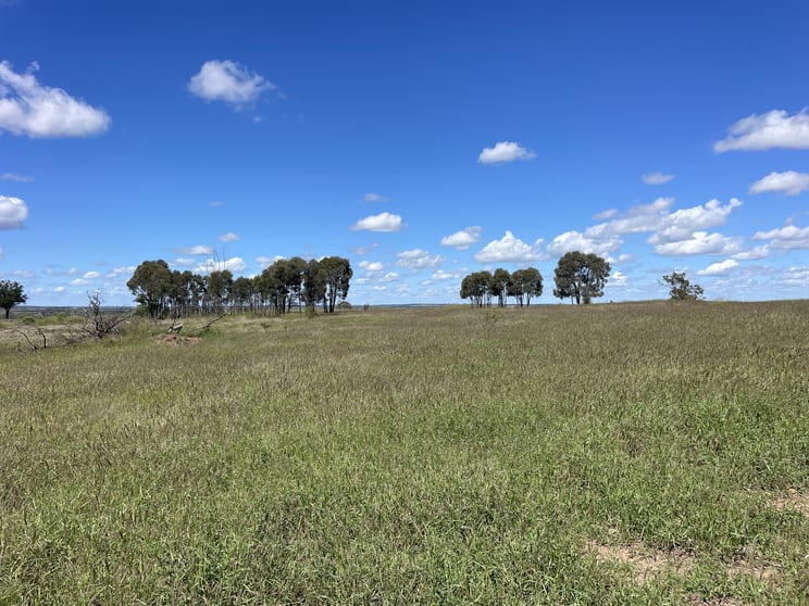 Click to view all images 2344 The Bend Road Taroom QLD 4420 - Image 3