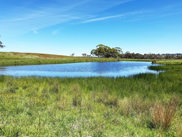 Click to view all images 2101 Woodhouselee Road Laggan NSW 2583 - Image 1