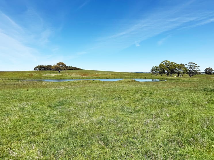 Click to view all images 2101 Woodhouselee Road Laggan NSW 2583 - Image 2