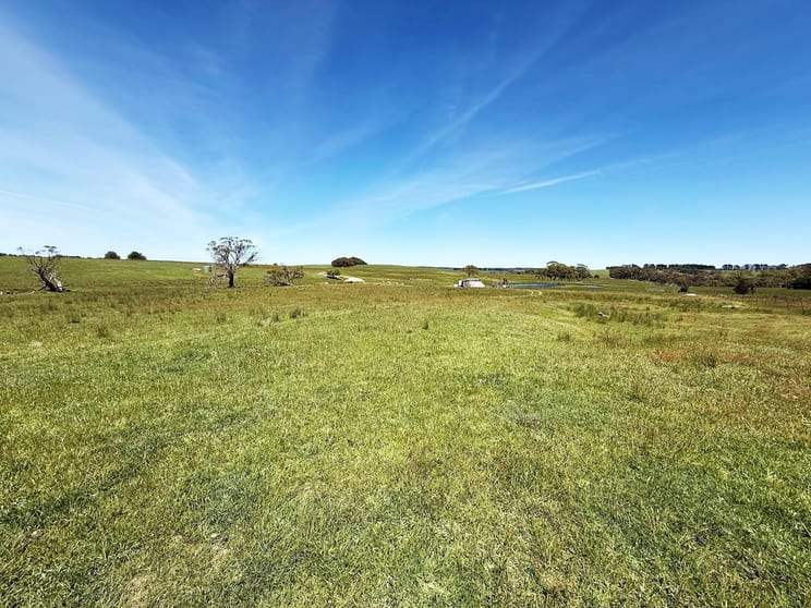 Click to view all images 2101 Woodhouselee Road Laggan NSW 2583 - Image 3