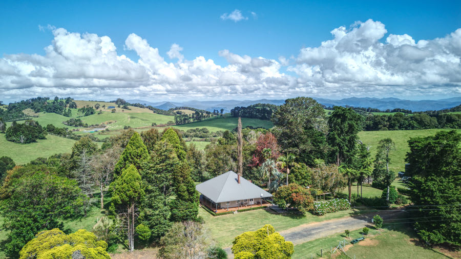 Dorrigo NSW 2453 - Image 1