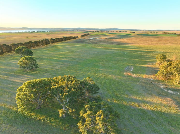 Click to view all images 55 Rotherwood Road Lake Bathurst NSW 2580 - Image 2
