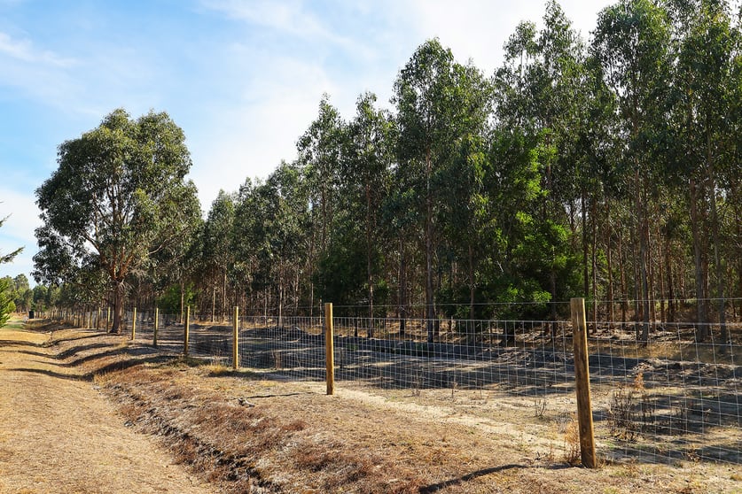 Click to view all images 44 Fincks Road Heathmere VIC 3305 - Image 2