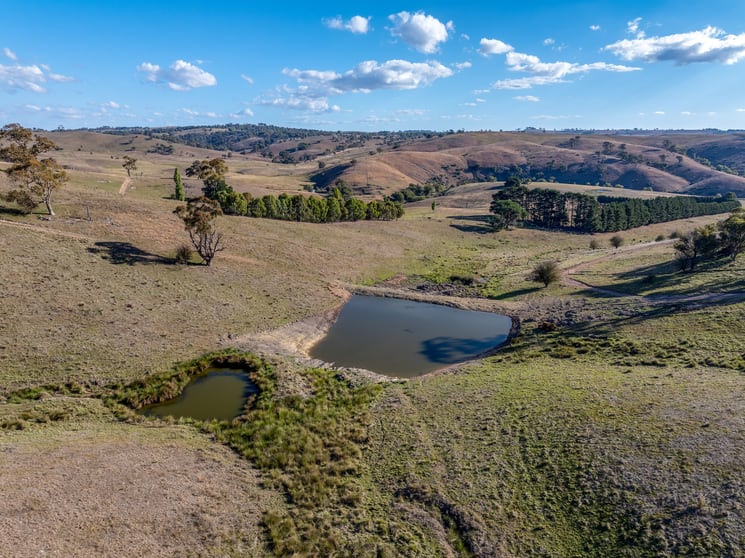 Click to view all images Lot 115/121 Blue Hill Road Taralga NSW 2580 - Image 3