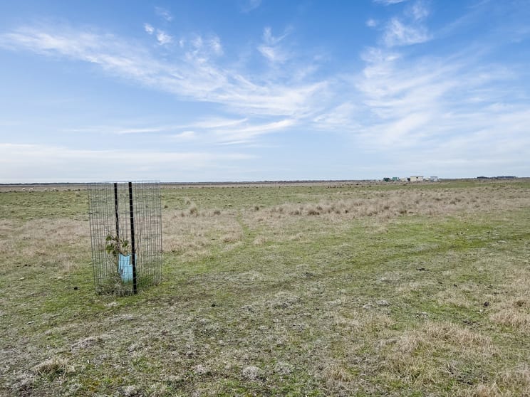 Click to view all images 90 Williams Road Kingston Se SA 5275 - Image 2