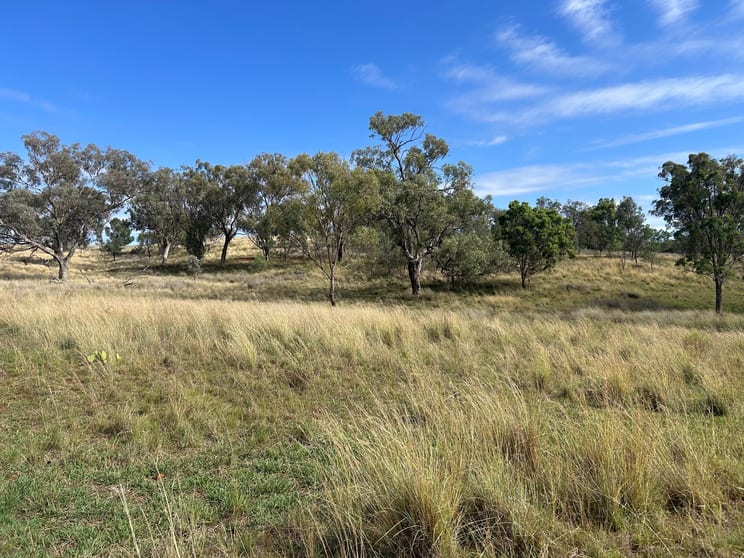 Click to view all images 40 Hills Lane Inverell NSW 2360 - Image 3